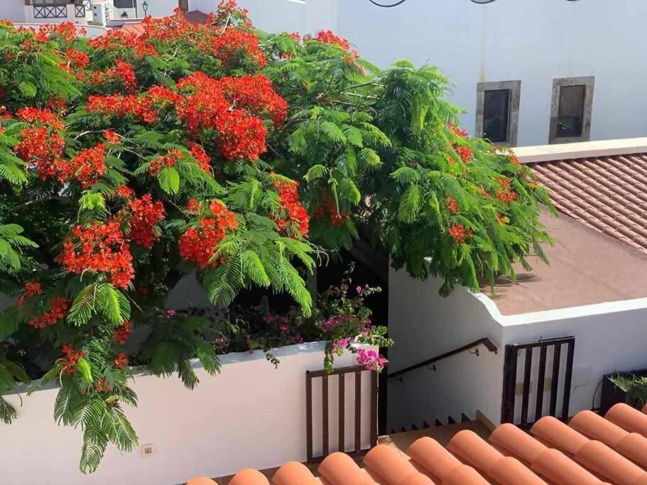 Villa Garoe Puerto de las Nieves Eksteriør bilde